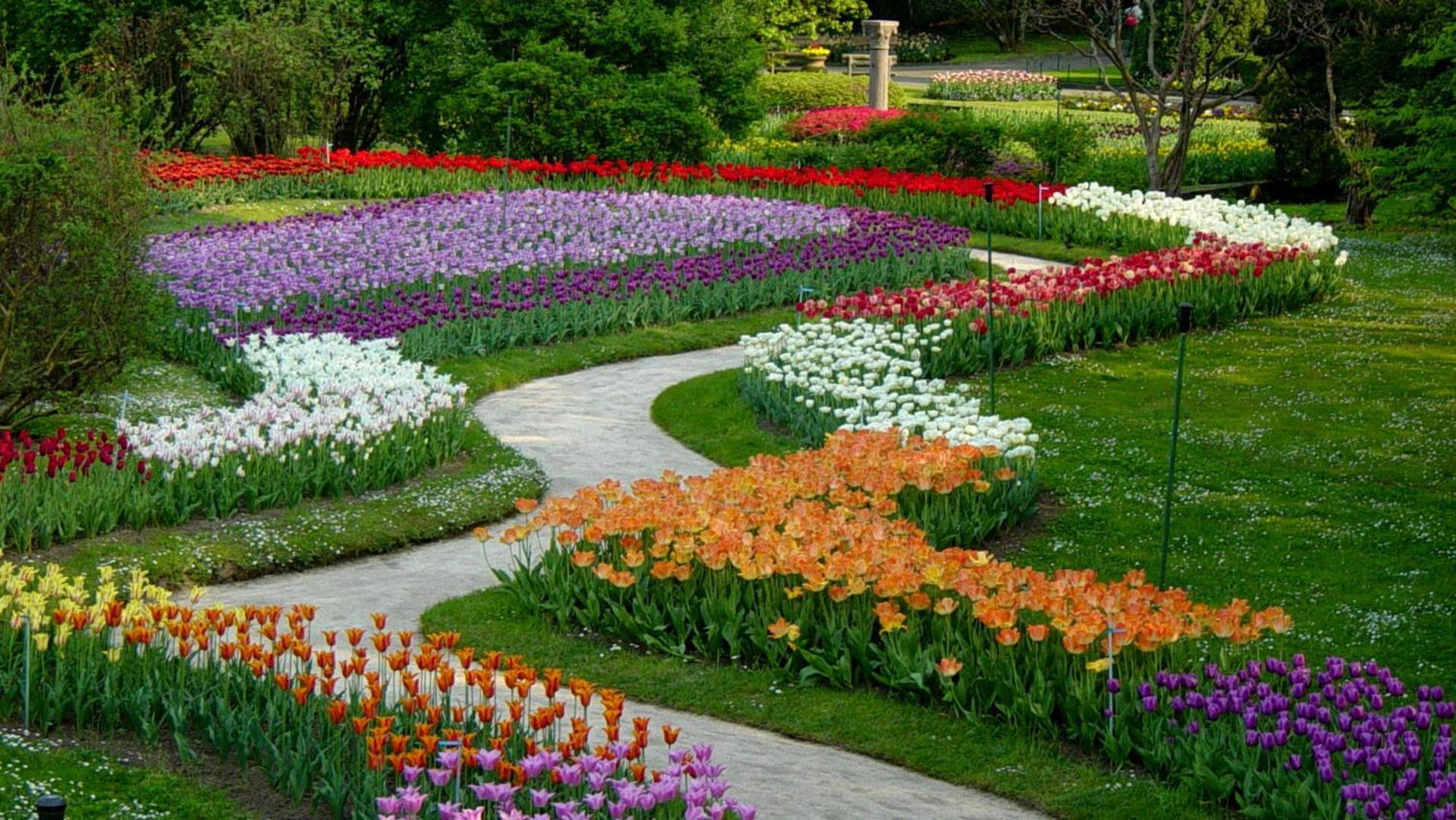 La Petite Dame - Lake Maggiore - 100 M From The Lake แวร์บาเนีย ภายนอก รูปภาพ